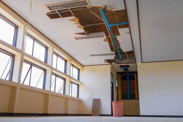 Best Fire Damage Restoration  in Burgin, KY