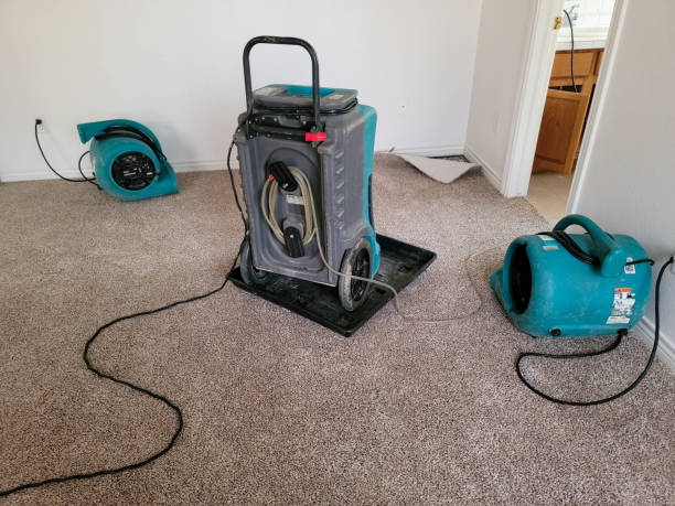 Best Water damage restoration near me  in Burgin, KY