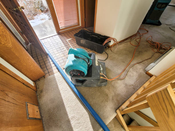 Best Flood restoration services  in Burgin, KY