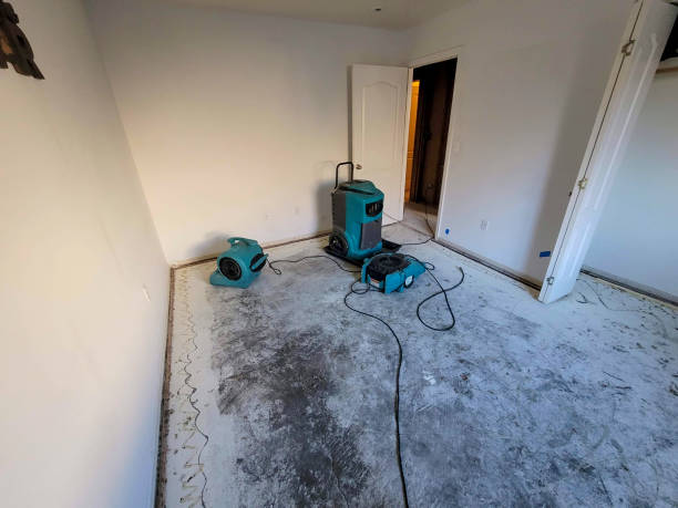 Best Water damage restoration near me  in Burgin, KY