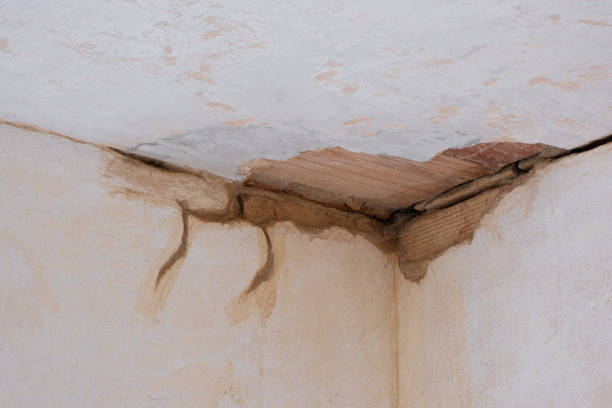 Best Basement water damage restoration  in Burgin, KY