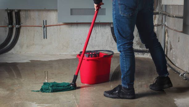 Best 24-hour water damage restoration  in Burgin, KY