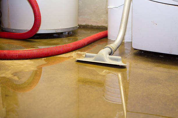 Best 24/7 water damage repair  in Burgin, KY
