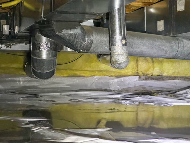 Best Water damage restoration cost  in Burgin, KY
