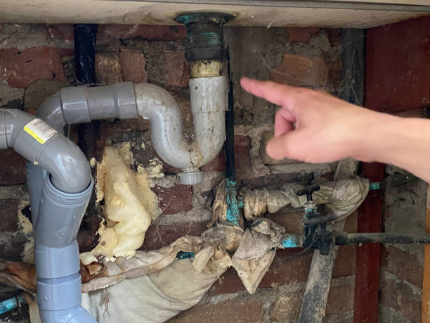 Best Mold removal after water damage  in Burgin, KY