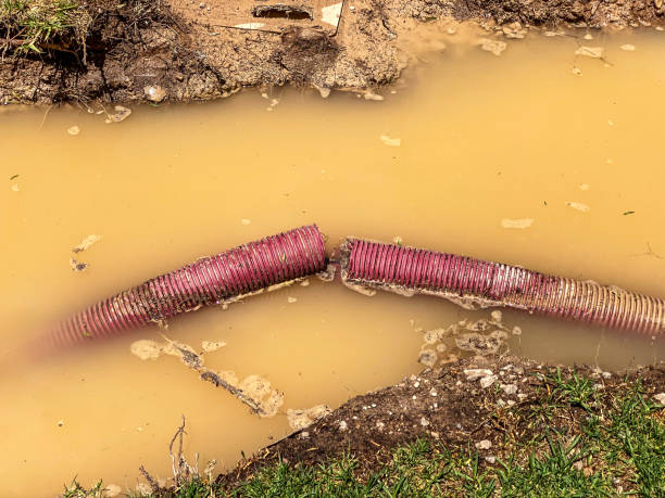 Best Flood damage cleanup  in Burgin, KY